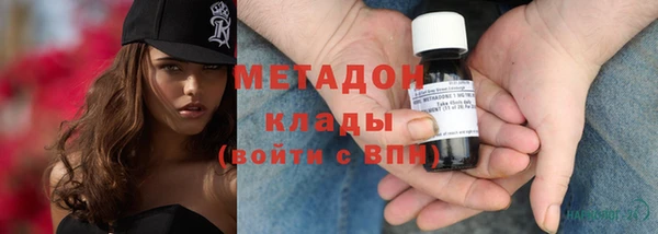прущие грибы Заволжск