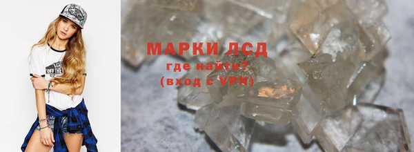 прущие грибы Заволжск