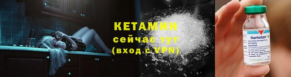 прущие грибы Заволжск