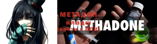 прущие грибы Заволжск