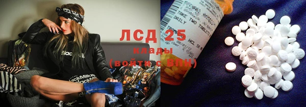 прущие грибы Заволжск