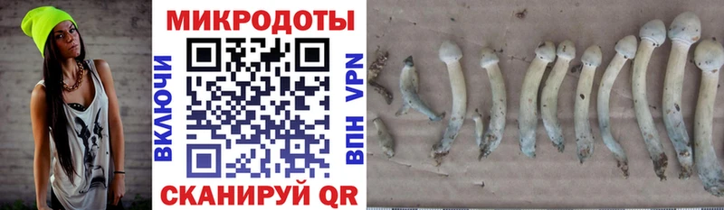 Псилоцибиновые грибы мухоморы  Купить закладки  Невельск 